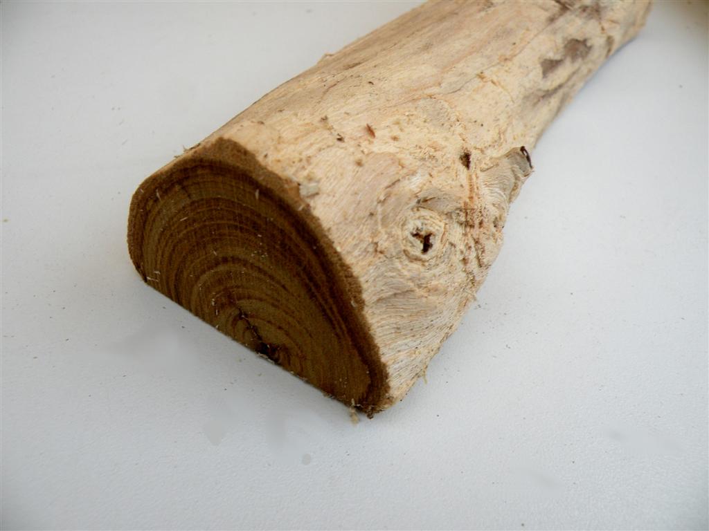 Laburnum tree coming down - how best to cut it up for use? | UK Workshop