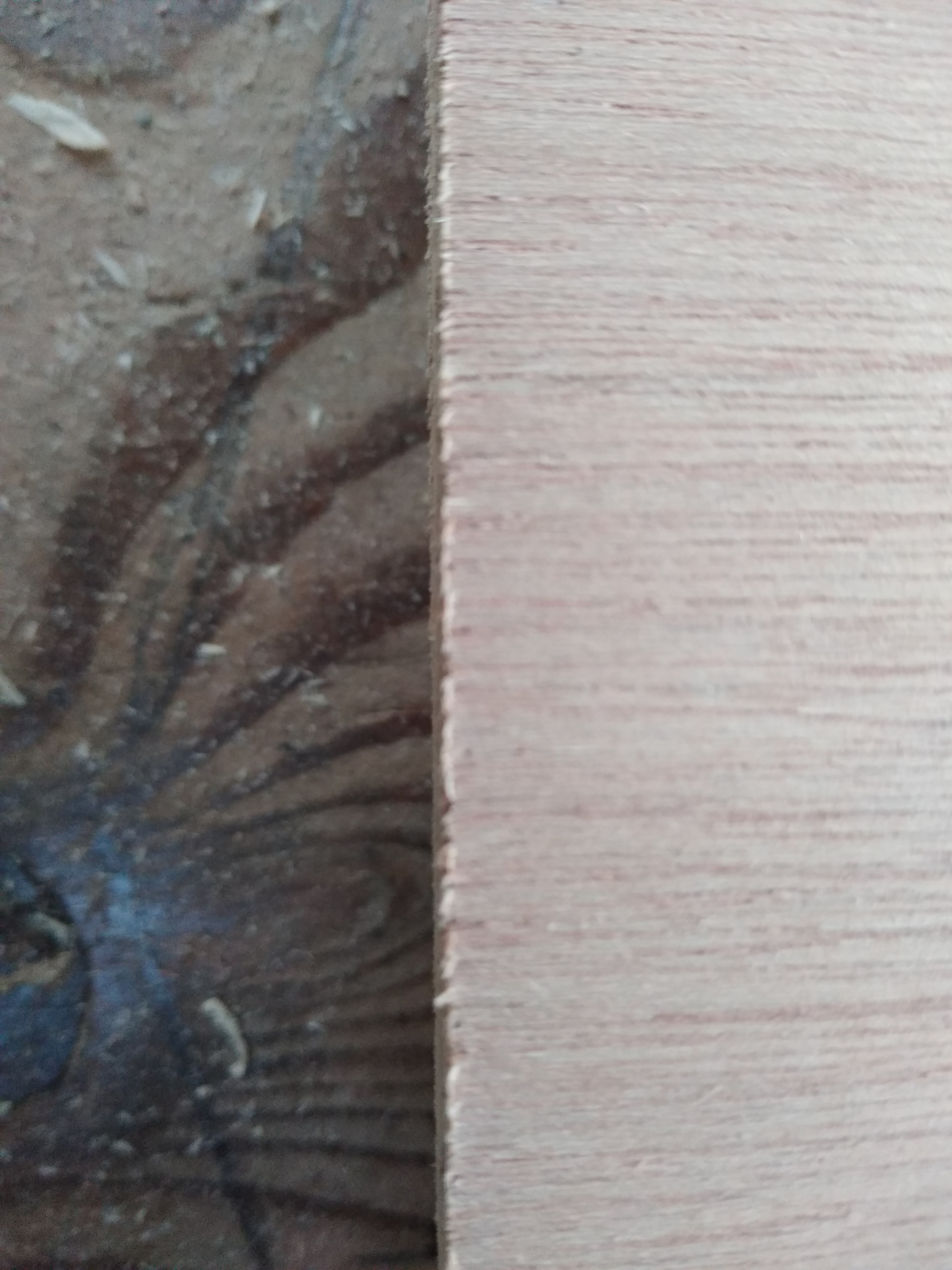Track saw splinter strip | UK Workshop